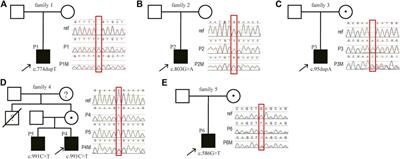 Further Delineation of the Spectrum of XMEN Disease in Six Chinese Pediatric Patients